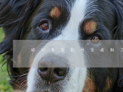 银行有贷款网贷逾期了影响吗 银行有贷款网贷逾期了影响吗