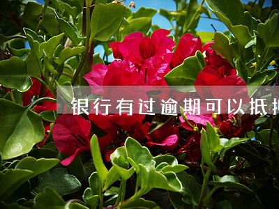 银行有过逾期可以抵押贷款吗