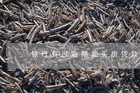 银行有过逾期能买房贷款吗 银行有过逾期能买房贷款吗