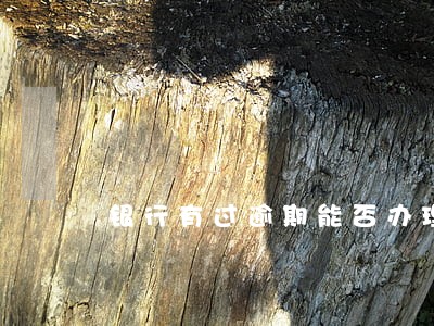 银行有过逾期能否办理车贷 银行有过逾期能否办理车贷