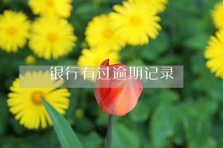 银行有过逾期记录 银行有过逾期记录