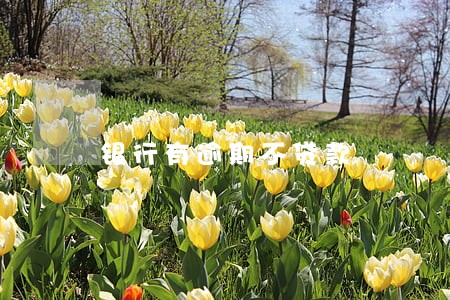 银行有逾期不贷款 银行有逾期不贷款