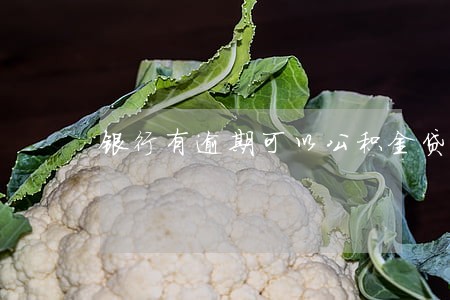 银行有逾期可以公积金贷款吗 银行有逾期可以公积金贷款吗