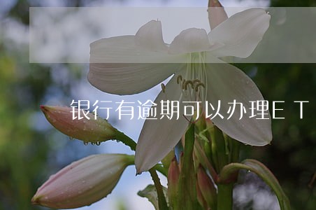银行有逾期可以办理ETC吗 银行有逾期可以办理ETC吗