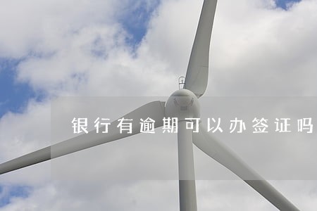 银行有逾期可以办签证吗 银行有逾期可以办签证吗