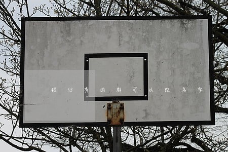 银行有逾期可以改名字吗 银行有逾期可以改名字吗