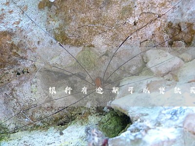 银行有逾期可以贷款买车吗 银行有逾期可以贷款买车吗