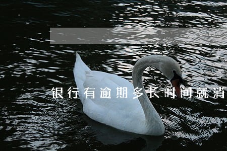银行有逾期多长时间就消了 银行有逾期多长时间就消了