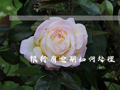银行有逾期如何处理 银行有逾期如何处理
