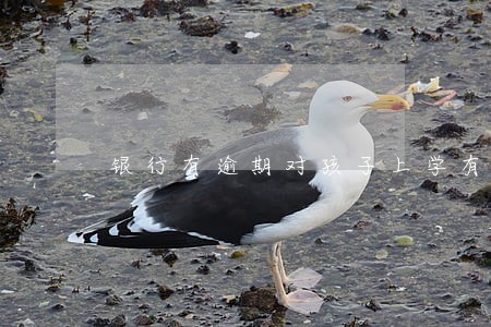 银行有逾期对孩子上学有影响吗 银行有逾期对孩子上学有影响吗