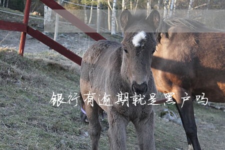 银行有逾期就是黑户吗 银行有逾期就是黑户吗