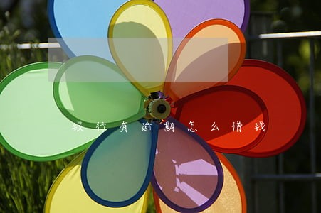 银行有逾期怎么借钱