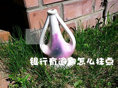 银行有逾期怎么抹点 银行有逾期怎么抹点