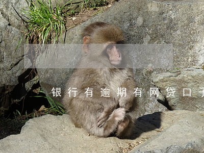 银行有逾期有网贷口子吗 银行有逾期有网贷口子吗