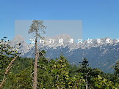 银行有逾期欠款能影响花呗吗 银行有逾期欠款能影响花呗吗