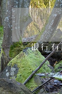 银行有逾期没还清