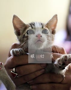 银行有逾期能办什么贷款 银行有逾期能办什么贷款