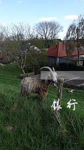 银行有逾期能办信用卡 银行有逾期能办信用卡