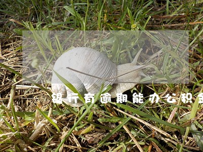 银行有逾期能办公积金贷款吗 银行有逾期能办公积金贷款吗