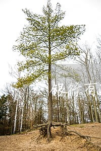 银行有逾期能办营业 银行有逾期能办营业