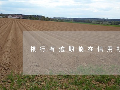 银行有逾期能在信用社贷款吗 银行有逾期能在信用社贷款吗