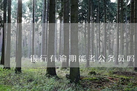 银行有逾期能考公务员吗 银行有逾期能考公务员吗
