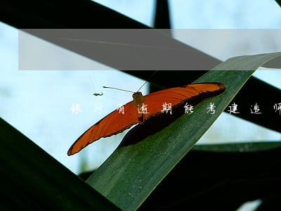 银行有逾期能考建造师吗