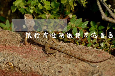 银行有逾期能贷万达普惠吗 银行有逾期能贷万达普惠吗