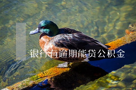 银行有逾期能贷公积金 银行有逾期能贷公积金
