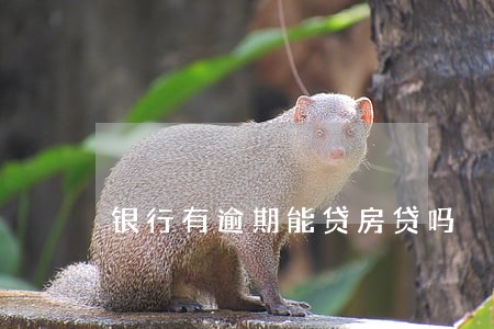 银行有逾期能贷房贷吗 银行有逾期能贷房贷吗