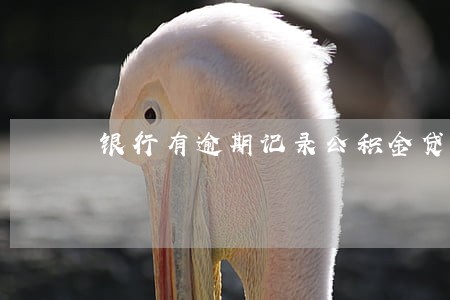 银行有逾期记录公积金贷款