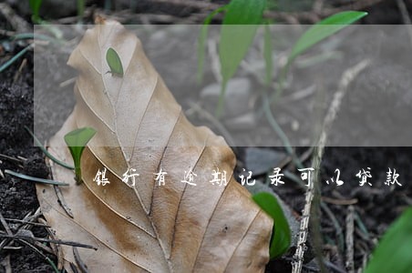 银行有逾期记录可以贷款买房吗 银行有逾期记录可以贷款买房吗