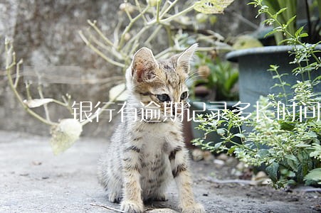银行有逾期记录多长时间能消除 银行有逾期记录多长时间能消除