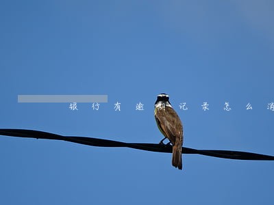 银行有逾期记录怎么消