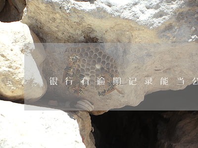 银行有逾期记录能当公司法人吗 银行有逾期记录能当公司法人吗