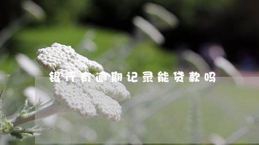 银行有逾期记录能贷款吗 银行有逾期记录能贷款吗