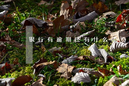 银行有逾期还有什么能贷 银行有逾期还有什么能贷