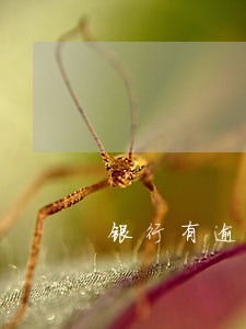 银行有逾期还款还能贷公积金吗 银行有逾期还款还能贷公积金吗