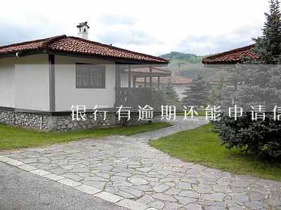 银行有逾期还能申请信用卡吗 银行有逾期还能申请信用卡吗
