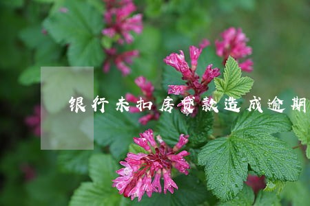 银行未扣房贷款造成逾期 银行未扣房贷款造成逾期