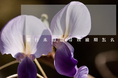 银行未扣款导致逾期怎么办 银行未扣款导致逾期怎么办