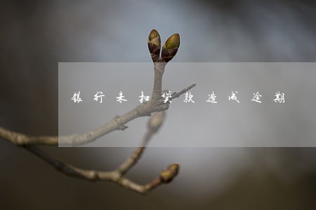 银行未扣贷款造成逾期 银行未扣贷款造成逾期