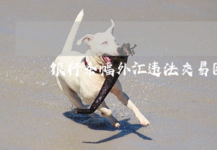 银行条幅外汇违法交易图片