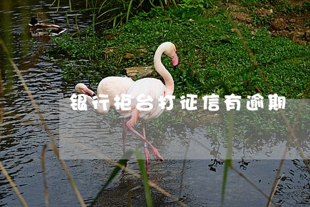 银行柜台打征信有逾期 银行柜台打征信有逾期