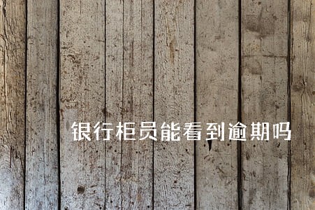 银行柜员能看到逾期吗