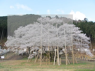 银行柜员逾期问责报告 银行柜员逾期问责报告