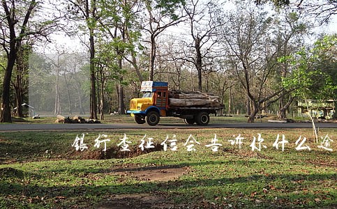 银行查征信会告诉你什么逾期吗 银行查征信会告诉你什么逾期吗