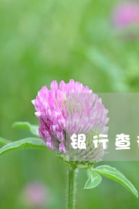 银行查征信逾期会抓吗 银行查征信逾期会抓吗