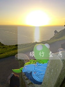 银行查房贷逾期怎么查
