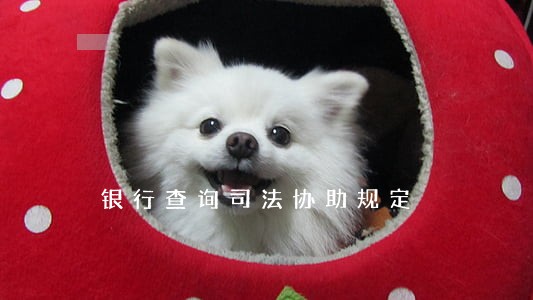 银行查询司法协助规定 银行查询司法协助规定